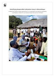 Image result for Adenia zambesiensis