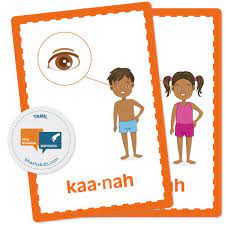 Body parts in tamil worksheet / the upper region of the body includes everything above the neck. Tamil Body Parts Flashcards Bhashakids