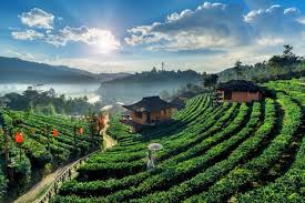 Find & download free graphic resources for asian landscape. 24 000 Asian Landscape Pictures