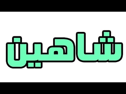 ما معني اسم شاهين في اللغة العربية ما معني كلمة شاهين في اللغة العربية معنى اسم شاهين بالاسلام Youtube