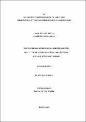 Bazı mantar hastalığı türleri çok yaygındır. T C Selcuk Universitesi Meram Tip Fakultesi Mikrobiyoloji Ve Klinik Mikrobiyoloji Anabilim Dali Prof Dr Bulen