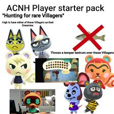 ACNH (Animal Crossing: New Horizons) Player Starter Pack : rstarterpacks