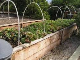 Raised bed covers are essential for your raised vegetable garden if you want to grow later in the year and overwinter, or get an early start in the spring. With These Pvc Hoops The Generous Lettuce Crop In This Raised Bed Can Be Roofe Vegetable Garden Raised Beds Raised Vegetable Gardens Building A Raised Garden