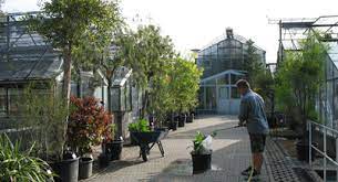 Der botanische garten dahlem ist ein beliebtes ausflugsziel bei berlinern und besuchern. Gewachshauser Botanischer Garten Der Johannes Gutenberg Universitat Mainz