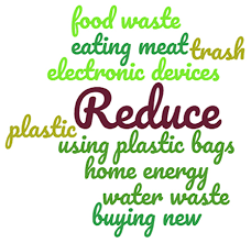 How Can We All Help Conserve Nature? · Frontiers For Young Minds