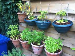 The vegetables and herbs have already been coded with space requirements. 10 Creative Vegetable Garden Ideas