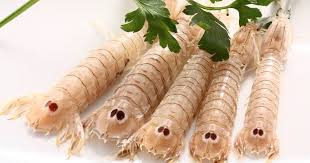 Osteria la cicala ad agosto 2020 ha cambiato gestione, lasciando le redini della cucina a manuel e fabio, che seguono e rafforzano la qualità e la passione che ha sempre contraddistinto questo posto. 28 Pxhzwttmbm