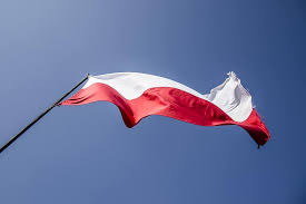 Najděte stock snímky na téma polská vlajka v hd a miliony dalších stock fotografií, ilustrací a vektorů bez autorských poplatků ve sbírce shutterstock. Vlajka Polsko Patriotismus Polska Vlajka Vlajka Polska Vlast Narod Svatek Bila Cervena Polstina Cervene Pikist