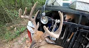 Gut shot deer typically die 8 to 12. Hunting Deer With Dogs Discussing The Topic And Weighing The Merits
