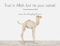 Tether the camel and then trust allah.you will ask, then why trust allah if you are. Mcenigma Lyle Mcenigma Profile Pinterest