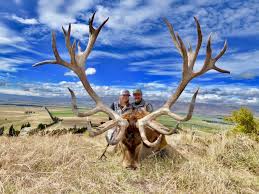 The female (hind) is 160 to 210 cm (63 to 83 in) long and weighs 120 to 170 kg (260 to 370 lb). Red Stag New Zealand Safaris