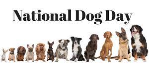 By profession, colleen paige is an animal behaviorist. Break Out The Treats It S National Dog Day Joy Of Living