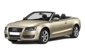Image result for Aurum Beige 2011 A5