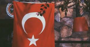 Turk Panosundaki Pin