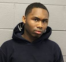 No bail for 2 charged with crashing into CPD squad cars, fleeing to suburbs 