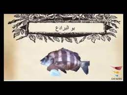 أسماء الأسماك أسماء السمك بالمغرب Les Noms Des Poissons Au Maroc Youtube