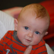 Temple Judea Interns Embark