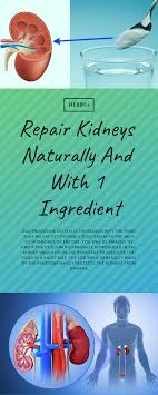 Repair Kidneys Naturally And With 1 Ingredient Health Endocrine System Kidney Cleanse