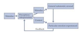 Theories Of Emotion Boundless Psychology