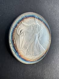 Image result for Silver Grey 1995 AAV