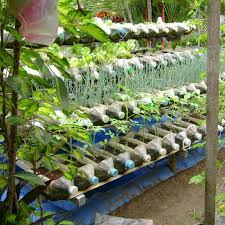 Salah satunya adalah menekan pengeluaran untuk membeli beragam sayur dan keperluan dapur lainnya yang bisa ditanam di kebun rumah. Petani Berdasi Ide Kreatif Bikin Kebun Sayur Di Rumah Facebook