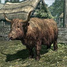 Skyrim:Cow - The Unofficial Elder Scrolls Pages (UESP)