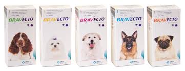 Check with your veterinarian before use if your dog has a food allergy. Bravecto For Dogs Is It Safe Chelsea Dogs Blog