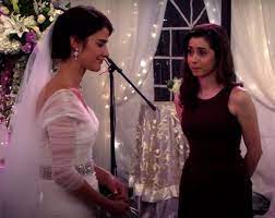 How i met your mother is all about romantic ted mosby finding the love of his life. Robin And Tracy How I Met Your Mother Wiki Fandom