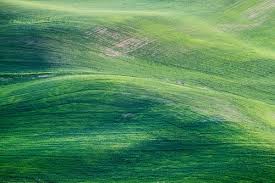 Green nature and landscape desktop wallpapers are available for free download in high definition. 40 000 Best Green Photos 100 Free Download Pexels Stock Photos