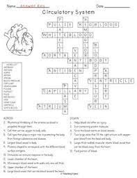 Image Result For Human Circulatory System Crossword Puzzle Circulatory System Human Circulatory System System