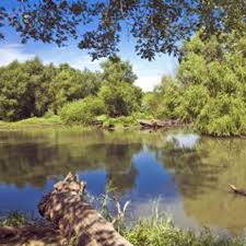 Maybe you would like to learn more about one of these? Camping At Clinton State Park In Kansas 50 Campfires