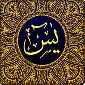 Our system stores surat yasin latin apk older versions, trial versions, vip versions, you. Surat Yasin Arab Latin Terjemah Mp3 8 0 2 Apks Download Com Aswajacenter Suratyasin