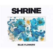 We did not find results for: Shrine Natural Pressed Body Art Flowers Blue White