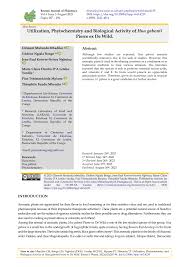 Image result for Hua gabonii