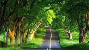 Check spelling or type a new query. Tanda Tanda Kebesaran Allah Di Bumi