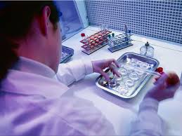 Image result for Prenatal Lab