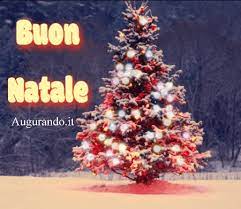 Gif animate di natale, immagini natale, humor flash video natalizi, giochi, pps, cartoline animate, biglietti, emoticons. Gif Animate Di Natale Entra Subito Sono Meravigliose
