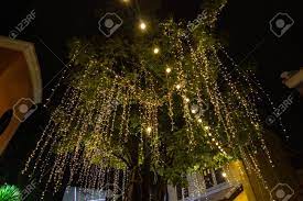 Hanging lights in trees outside. Decorative Outdoor String Lights Hanging On Tree In The Garden Stock Photo Picture And Royalty Free Image Image 128945260