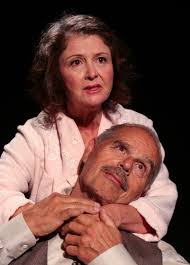 Theater review: Superb 'Death of a Salesman' at NTC