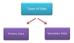 The main difference between primary and secondary stakeholders is the final position they have in your company. Secondary Data Dissertation Example Lawwustl Web Fc2 Com