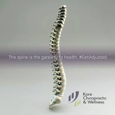 The Spine Is The Gateway To Health Getadjusted Chiropractic Chiropractor Chiropractic Care Chiropractic Chiropractic Wellness