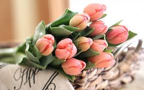 30 dic buon compleanno fiori tulipani. Fiori Battesimo Fiori Per Cerimonie Fiori Da Regale Ad Un Battesimo
