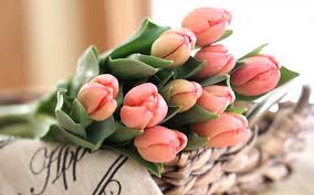Tulipani gialli fiori estivi piantare fiori fiori freschi fiori recisi vasi decorativi bellissimi fiori decorazioni vegetali. Fiori Battesimo Fiori Per Cerimonie Fiori Da Regale Ad Un Battesimo