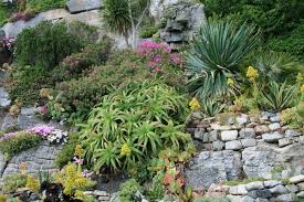 Check spelling or type a new query. St Michael S Mount Unexpected Garden The Traveling Gardener