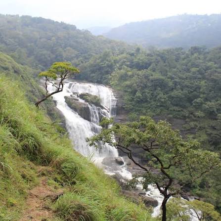 Coorg (Kodagu Highlands) Image 2