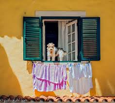 How Much Is That Doggie In The Window Is A Popular Novelty Song Published As Having Been Written By Bob Merrill In 195 Carnival Of Venice Doggy City Scene