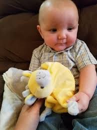 dinner ideas for 6 month olds?