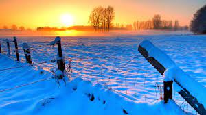 On the edge of the broads, it is the most easterly u. Lowestoft Weather Netweather Community Forums