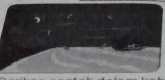 Pemerintah diminta tak rekrut kelompok radikal dan intoleran masuk komcad. Jelaskan Peristiwa Yang Terjadi Pada Gambar Di Samping Brainly Co Id