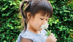 Размытие фона изображения